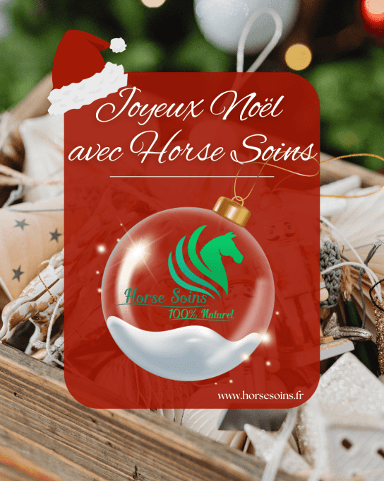 boule-surprise-noel-horse-soins_