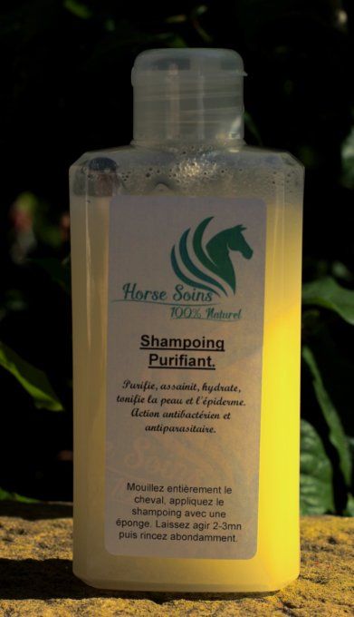 Shampoing Purifiant