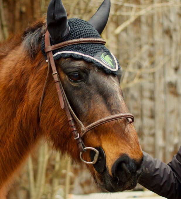 Bonnet cheval