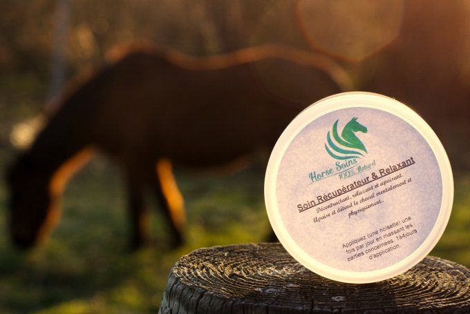 relaxation-recuperation-confort-cheval