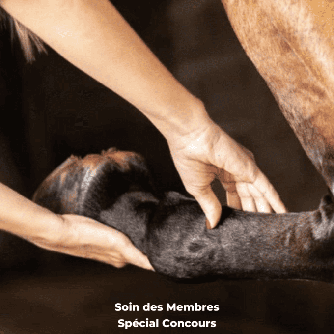soin des membres concours