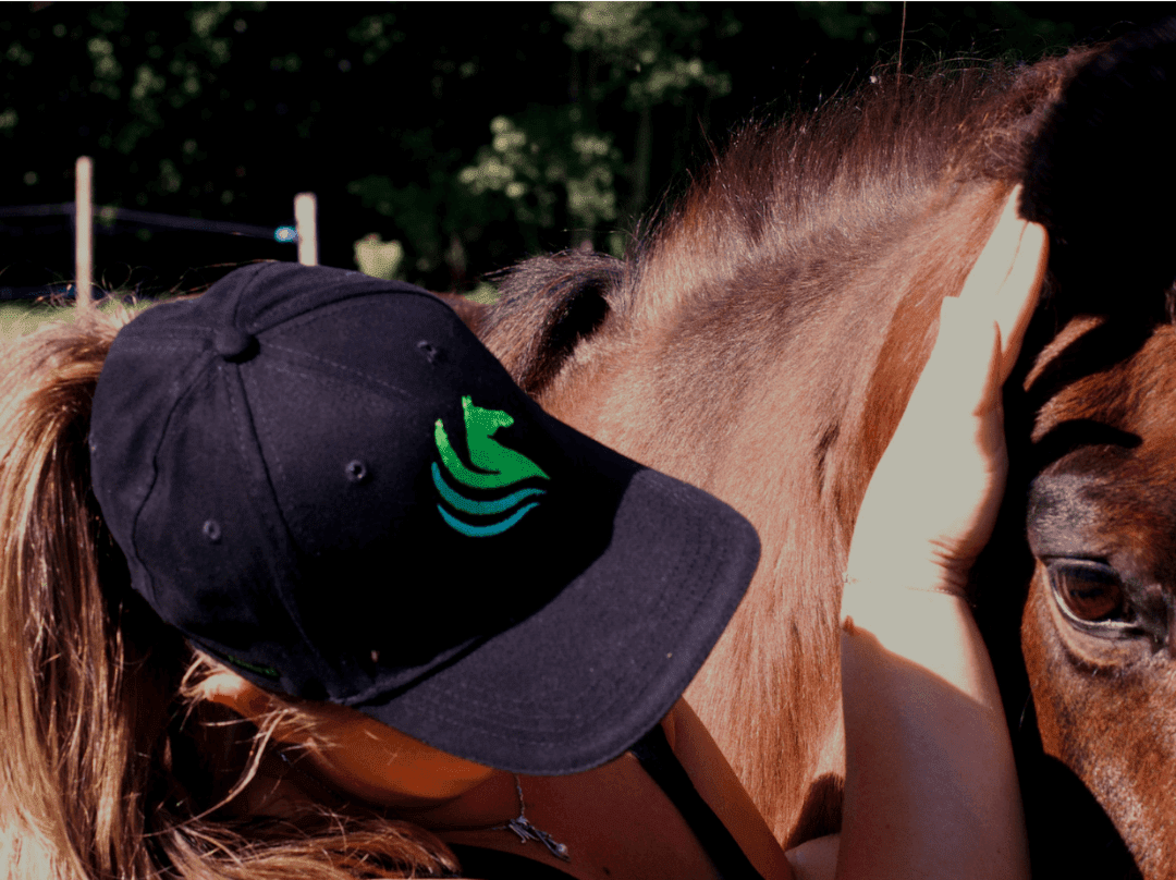 Massage thérapeutique équin Horse Soins pour récupération et bien-être du cheval