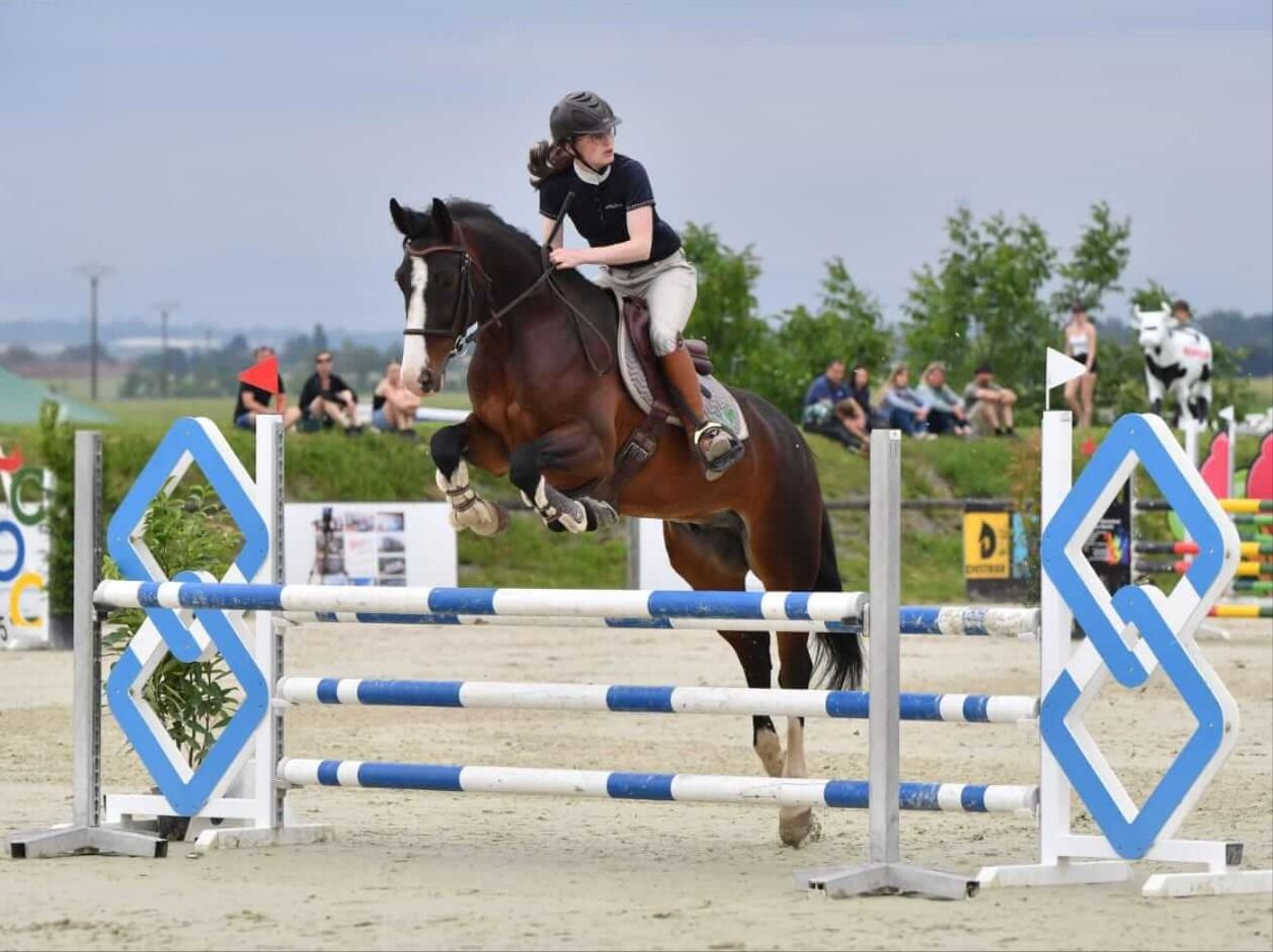 cheval qui saute, suivi sportif Horse Soins